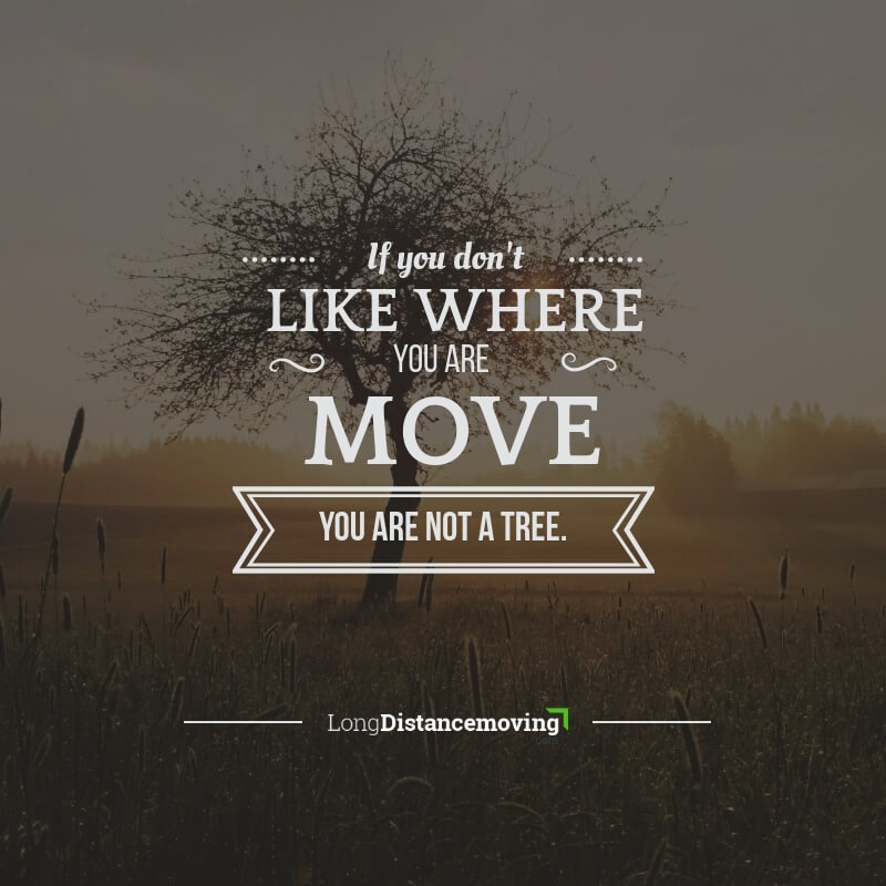 If you don't like where you are - move. You are not a tree.